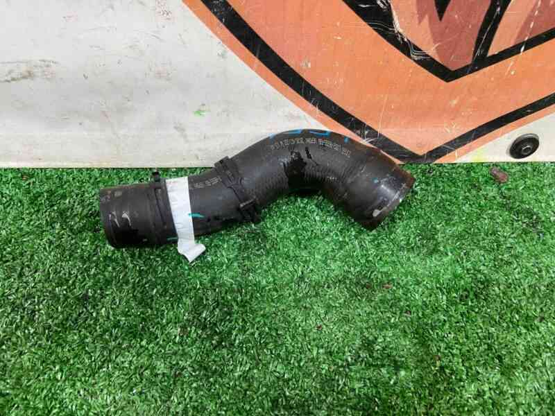 LR125559 Thermostat hose Range Rover Evoque New L551 (2019-) used cost 28 € in stock 1 pcs.