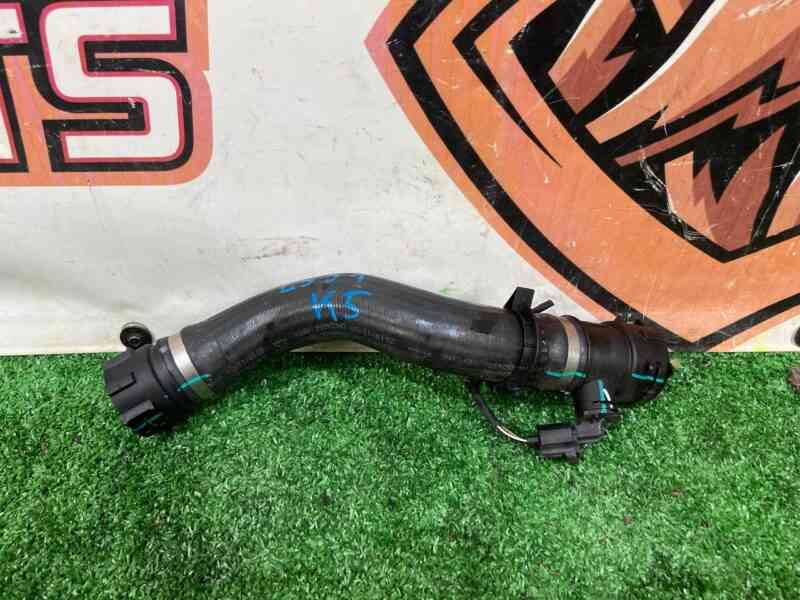 LR137641 Lower radiator hose Range Rover Evoque New L551 (2019-) used cost 20 € in stock 1 pcs.
