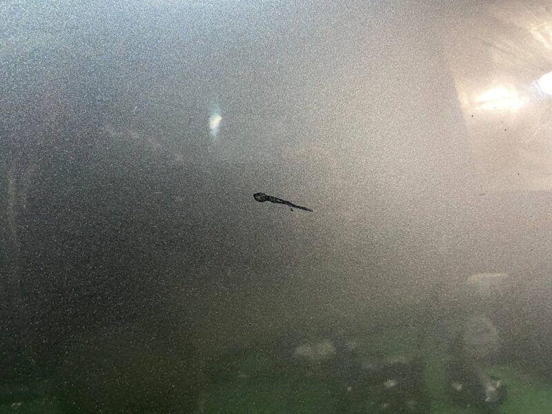 LR061282 Front right door Land Rover Discovery Sport L550 Used - Image 18