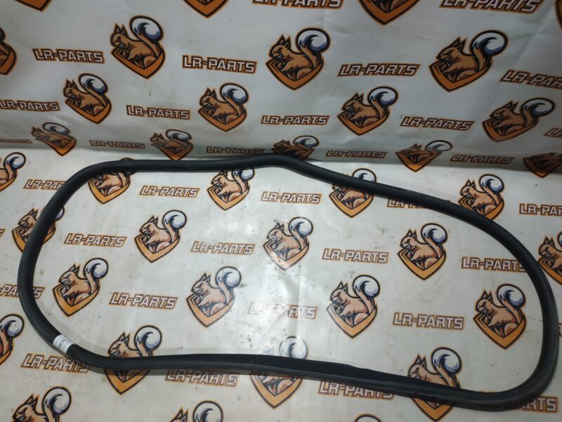 LR027223 Front door seal Range Rover Evoque L538 (2012-2018) Used cost 23 € in stock 2 pcs.