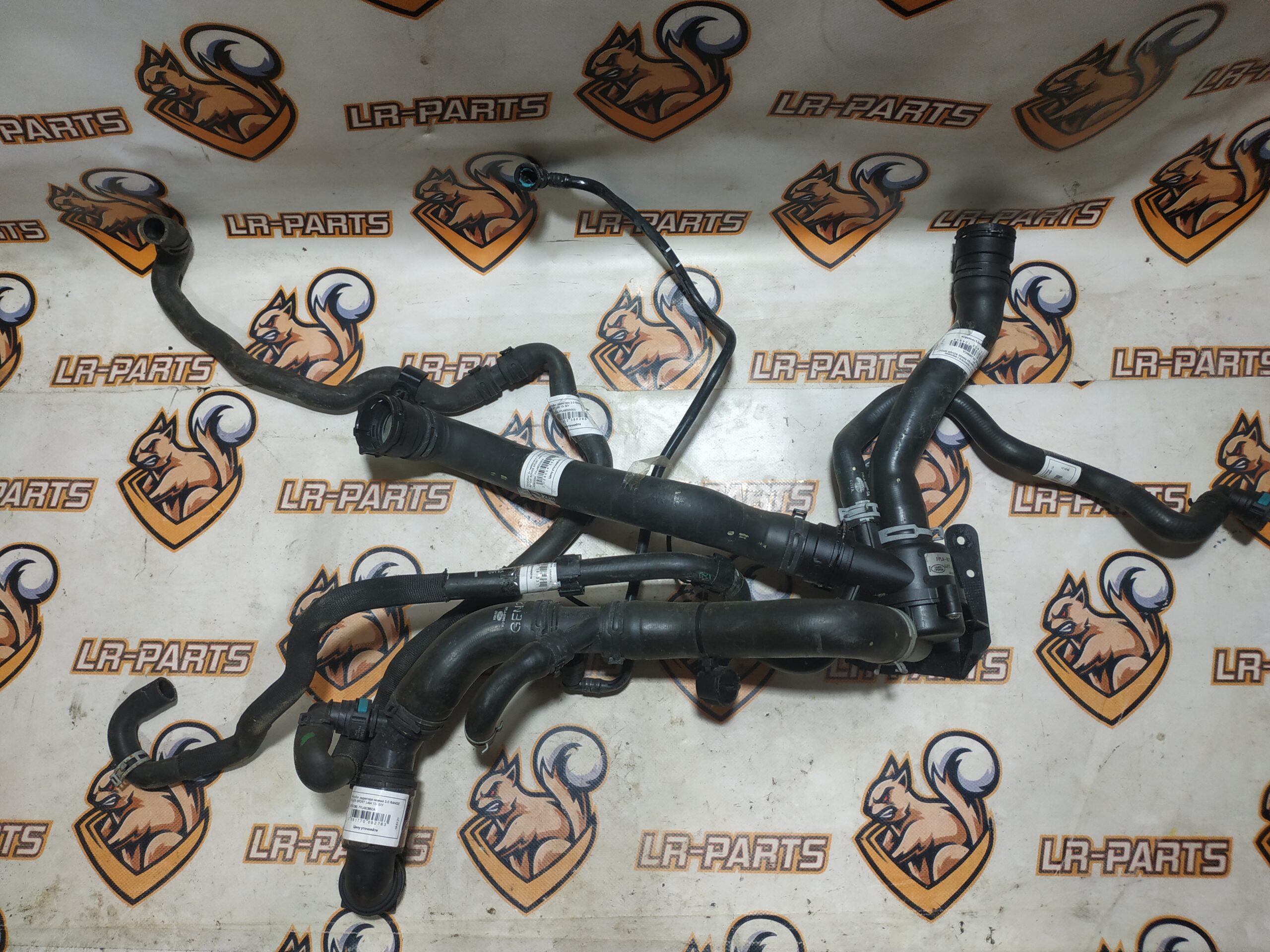 LR062080 Radiator nozzle lower 3.0 Range Rover Sport L494 (2014-2022) Used cost 60 € in stock 1 pcs.