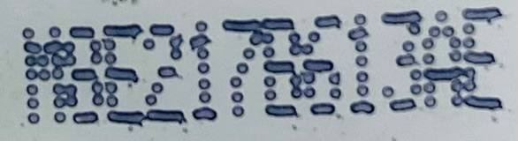 LR175417 Windshield Washer Reservoir for Range Rover Sport L461 (2023-) Used cost 180 € in stock 2 pcs.