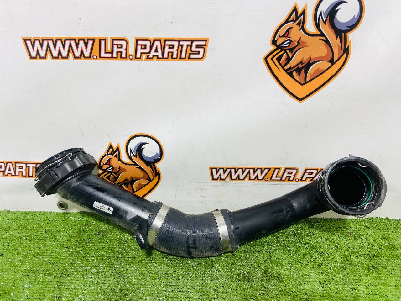 113123475 Intercooler Pipe Range Rover Evoque New L551 (2019-) Used cost € in stock 1 pcs.