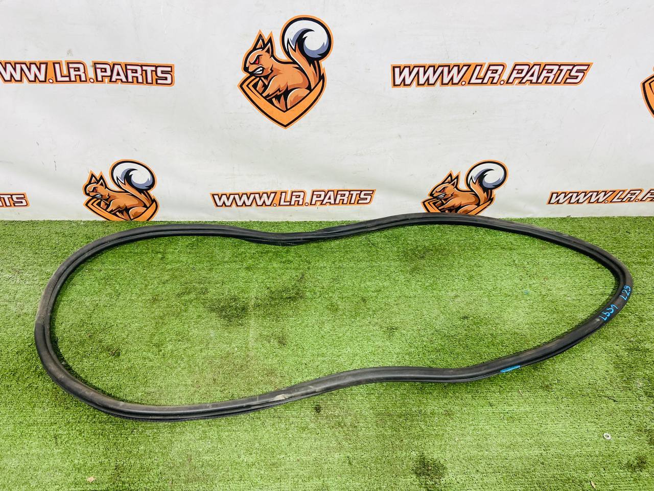 LR128755 Rear door seal for Range Rover Evoque New L551 body (2019-) Used cost € in stock 3 pcs.