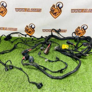 LR189068 Wiring right side cut piece from Range Rover Sport L461 headlight (2023-) Used cost  € in stock 1 pcs.