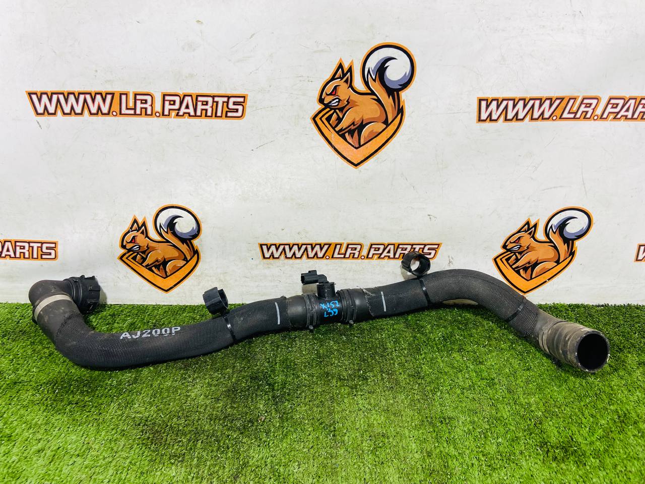 T2R23627 Lower radiator hose Jaguar F-Type X152 (2014-) Used cost € in stock 1 pcs.